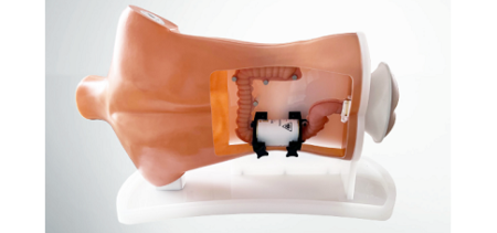 Gastroenterologia