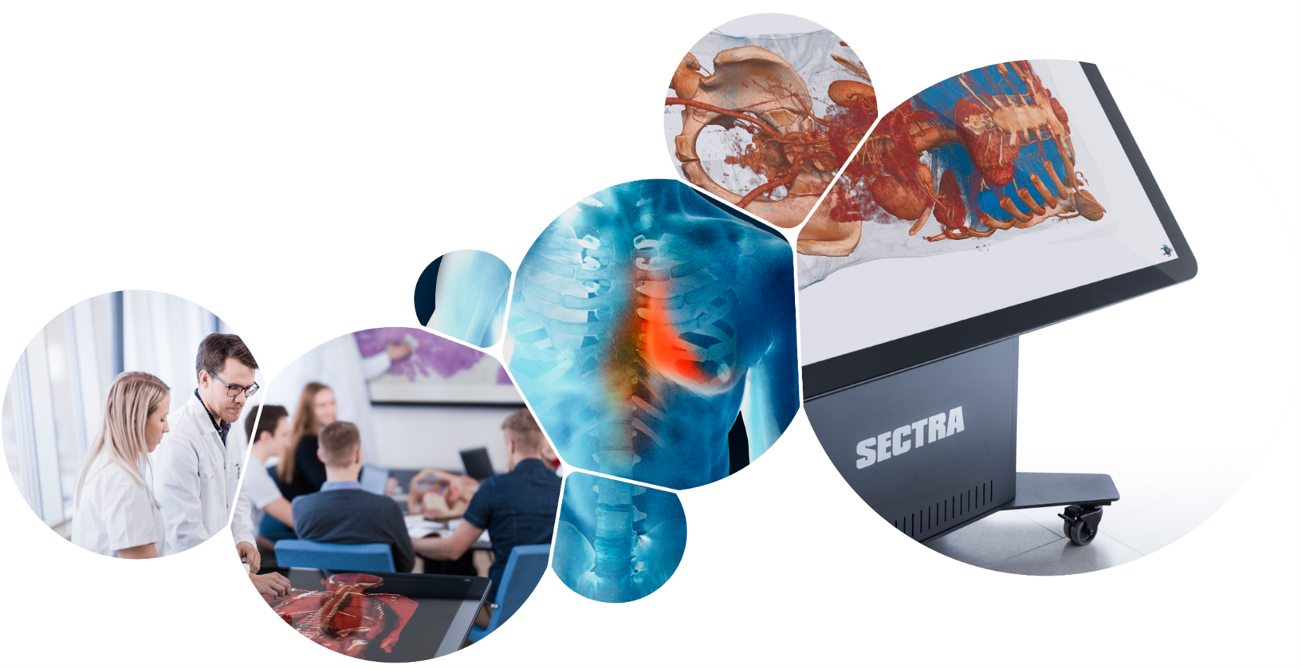 sectra education portal