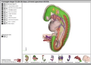 sectra education portal