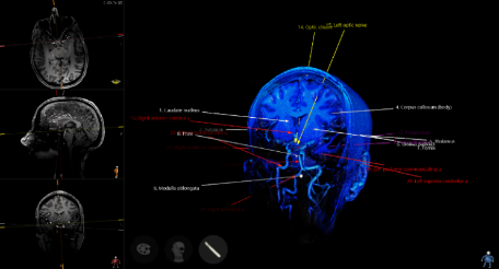 sectra education portal