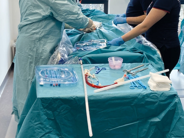 ECMO 3