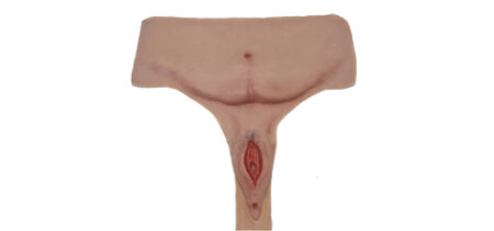 Pancia e Vulva Geriatrica