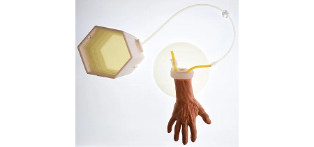 IV hand task trainer