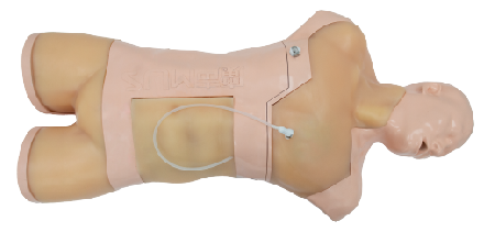 Simulatore integrato ad ultrasuoni per anestesia