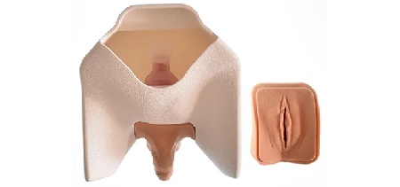Catheterization task trainer