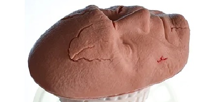 Suturing Task Trainer
