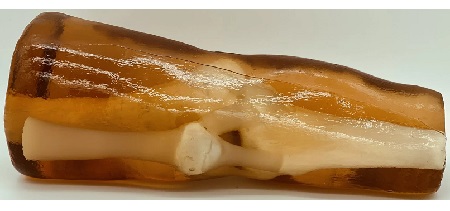 Ginocchio Adulto per CT/US/MRI
