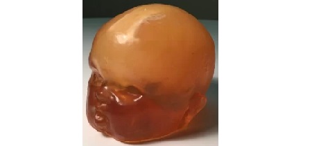 Testa Neonatale per CT/US