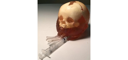 Testa Neonatale Dinamica per CT/US/MRI