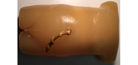 Torso Neonatale per CT/US