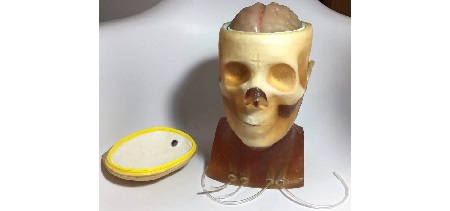 Testa Adulta Apribile per CT/US/MRI