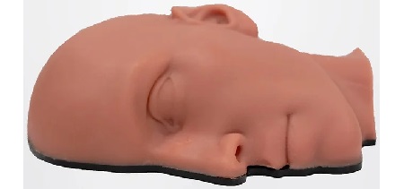 Volto con articolazione mandibolare