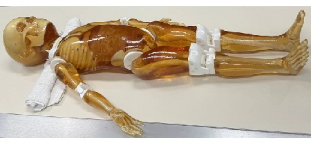 Corpo Intero Pediatrico per CT/US/MRI