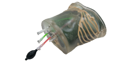 Simulatore ecografico PTCD