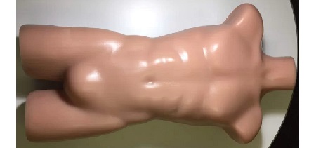 Torso Adulto color pelle per CT/US