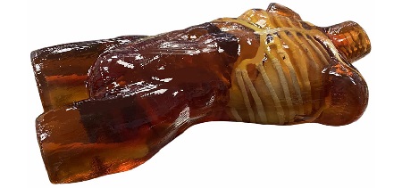 Torso Adulto per CT/US/MRI