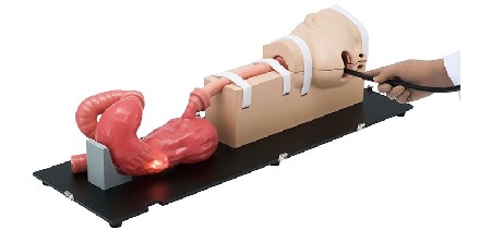 Simulatore EGD (Esofagogastroduodenoscopia)