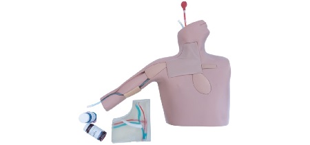 Simulatore ecografabile per PICC e CVC