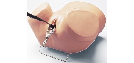 Simulatore isteroscopia