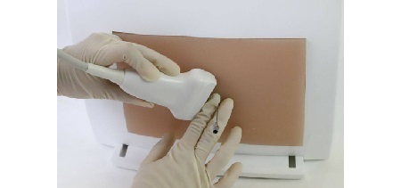 Simulatore ecografabile per puntura lombare