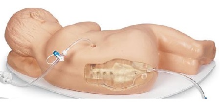 Simulatore pediatrico per punture al blocco caudale