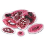 set per incidenti-8