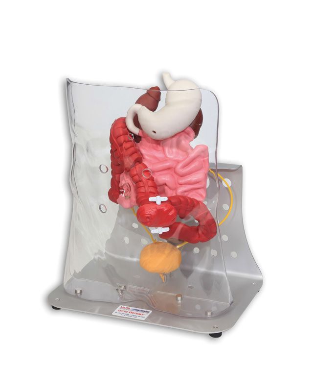 trainer stoma-10