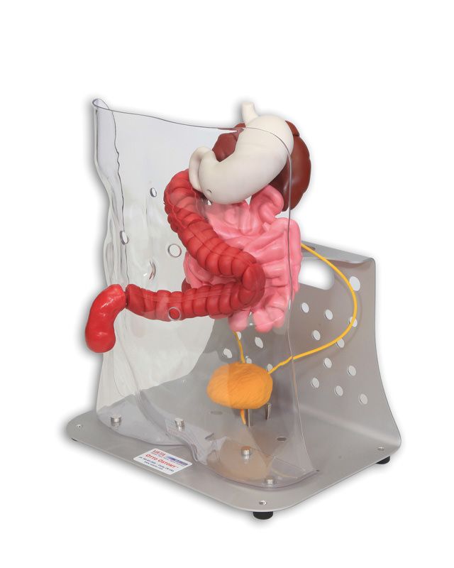 trainer stoma-11