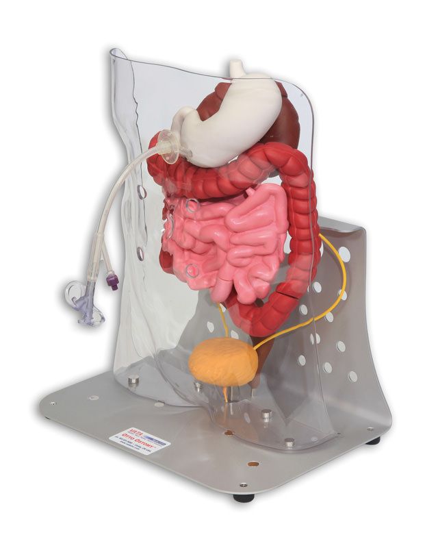 trainer stoma-13