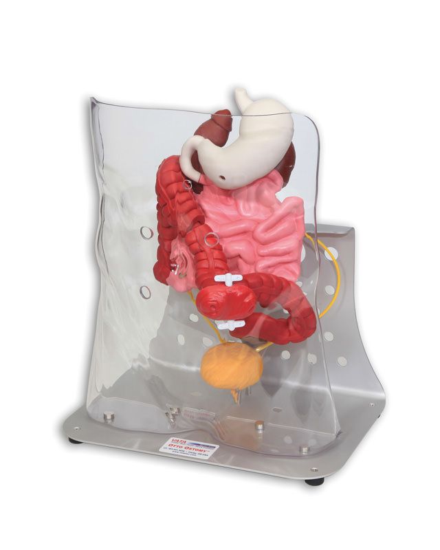 trainer stoma-3