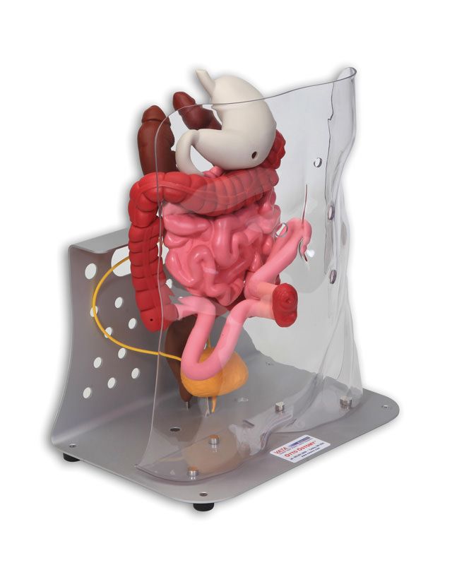 trainer stoma-4