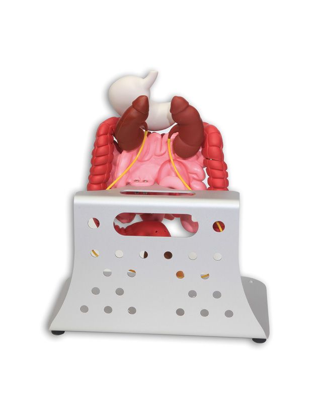 trainer stoma-5