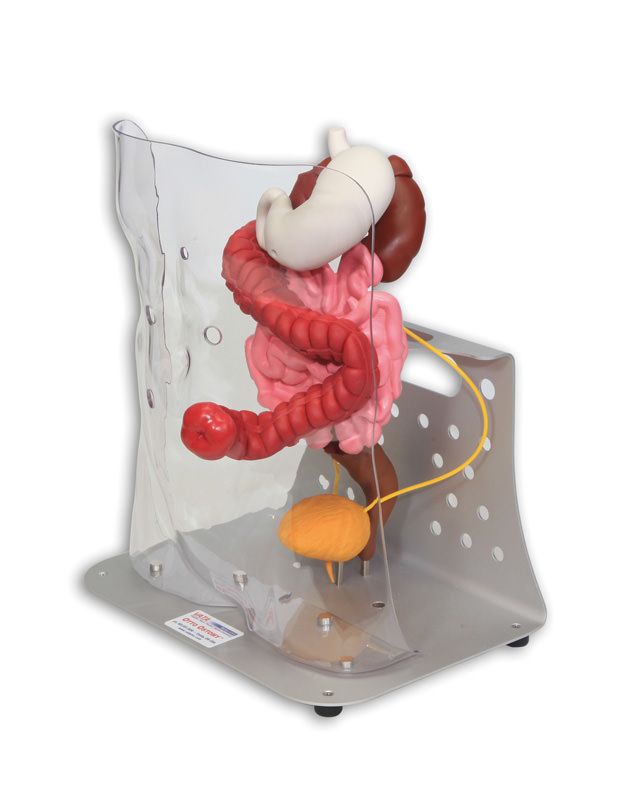 trainer stoma-8