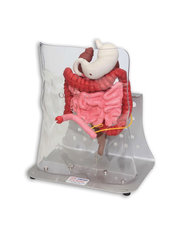 trainer stoma-9