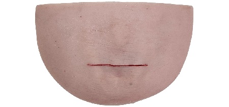 Trainer per suture al collo