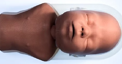 Newborn Airway Management Task Trainer