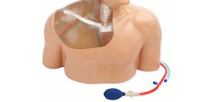 Skill trainer CVC