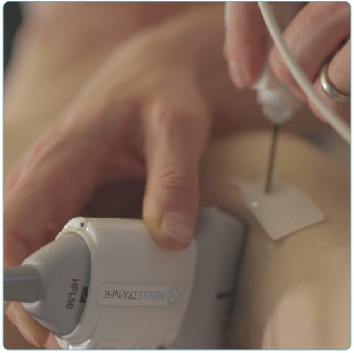 Sonda Eco NeedleTrainer